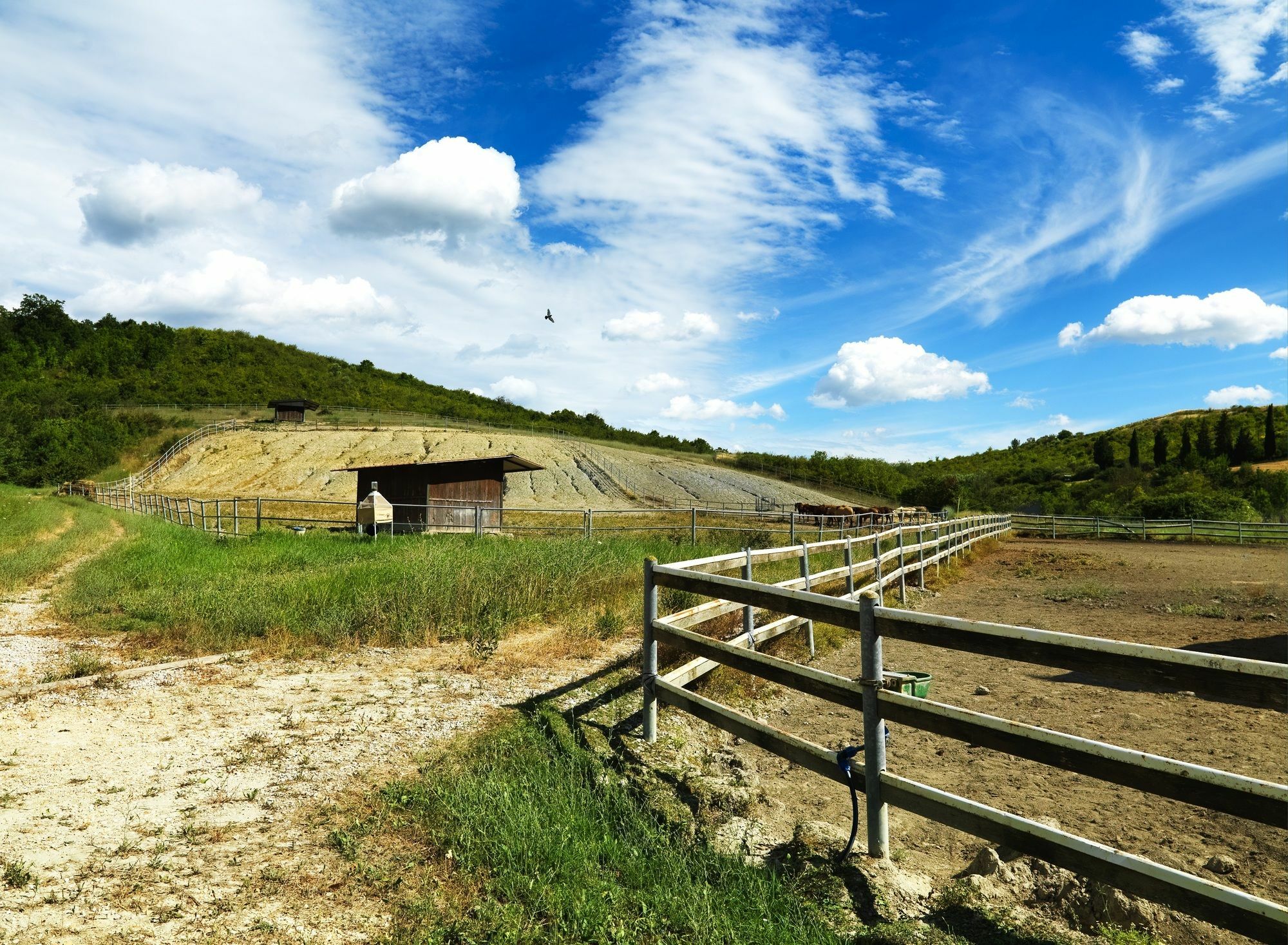 Appartamenti Agriturismo La Canonica Certaldo Kültér fotó